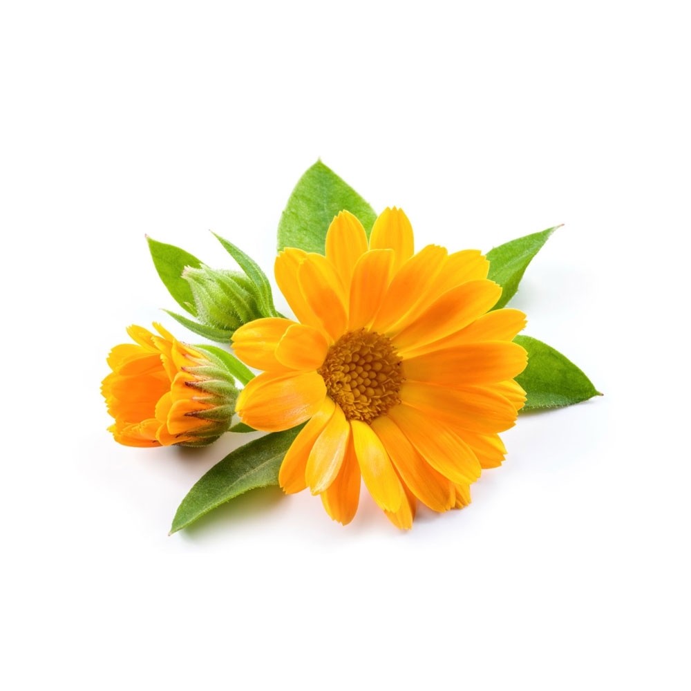 d5ae1613-3178-488e-9a4a-30921a4bdb40